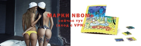 прущие грибы Новодвинск