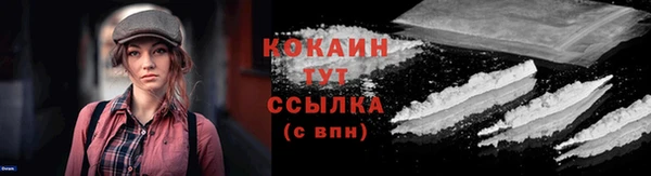 spice Новозыбков