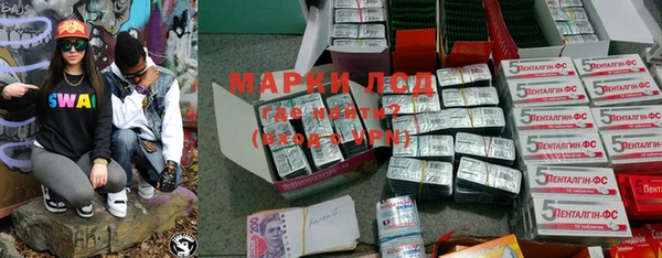 прущие грибы Новодвинск