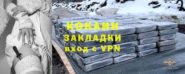 прущие грибы Новодвинск