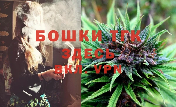 spice Новозыбков