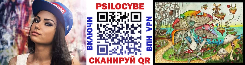 Псилоцибиновые грибы MAGIC MUSHROOMS  hydra ССЫЛКА  Кашин 