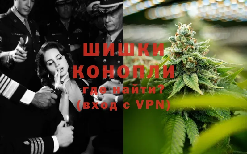 Бошки марихуана White Widow  продажа наркотиков  Кашин 